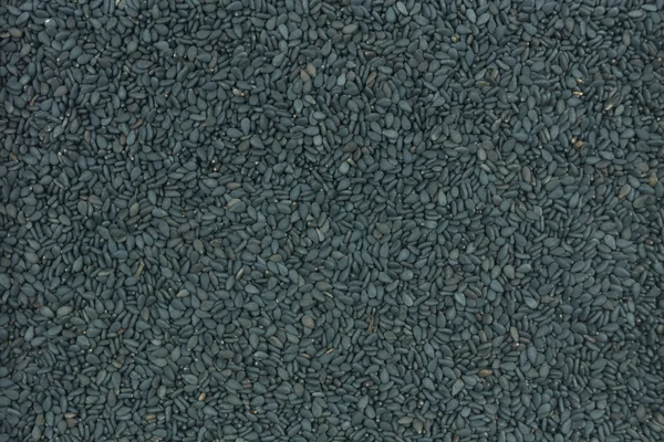 Семена черного кунжута — стоковое фото