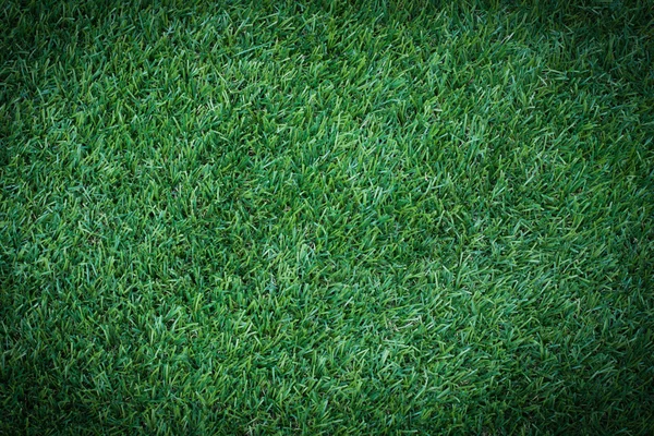 Artificial grass sport field green Royalty Free Stock Images