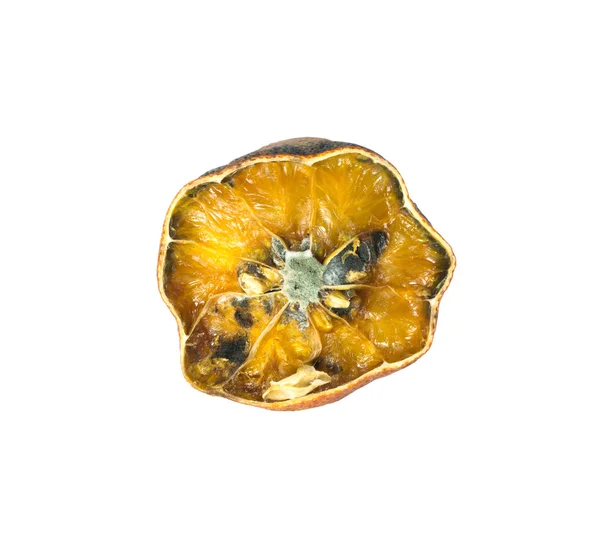 Rotten orange — Stock Photo, Image