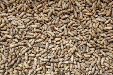 Çiğ fıstık arkaplan, doku. Sağlıklı gıda