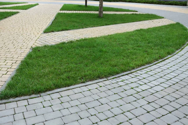 Geschwungener Fußweg Aus Steinplatten Park Mit Hanglandschaftsbeleuchtung Und Grünen Pflanzen — Stockfoto