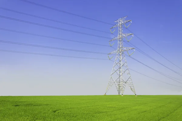 Электрическая башня на зеленом поле — стоковое фото