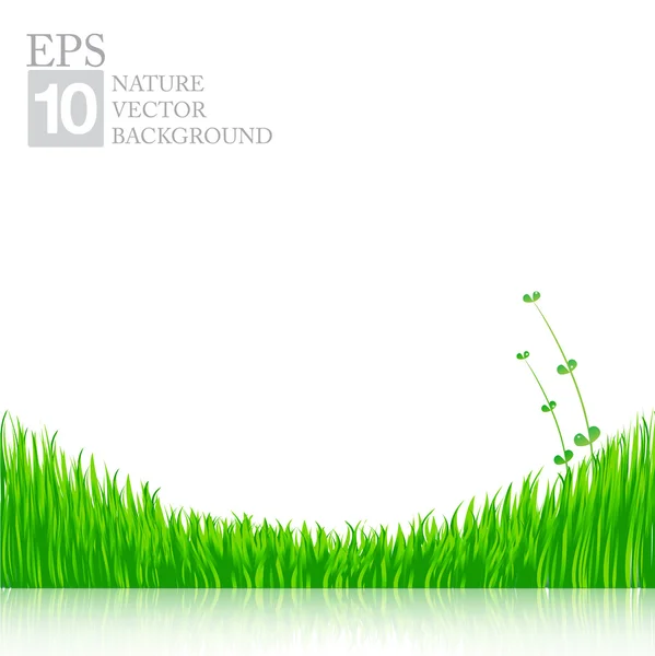 Natuur achtergrond met groene gras 01 — Stockvector