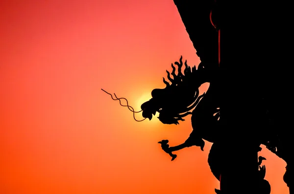 Silhouette Chinese dragon — Stock Photo, Image