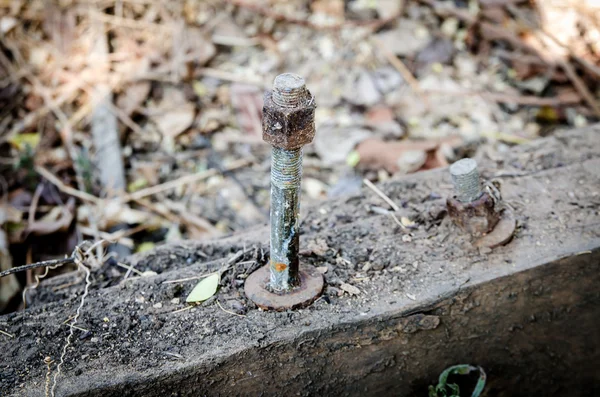 Velho parafuso e porca em madeira — Fotografia de Stock