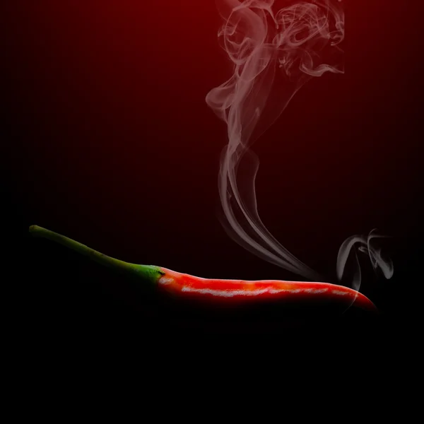 Hot chili on red and black background — Stock Photo, Image