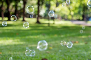 Bahçe arka planda güncellensin.