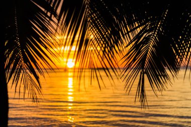 sunset beach arka plan