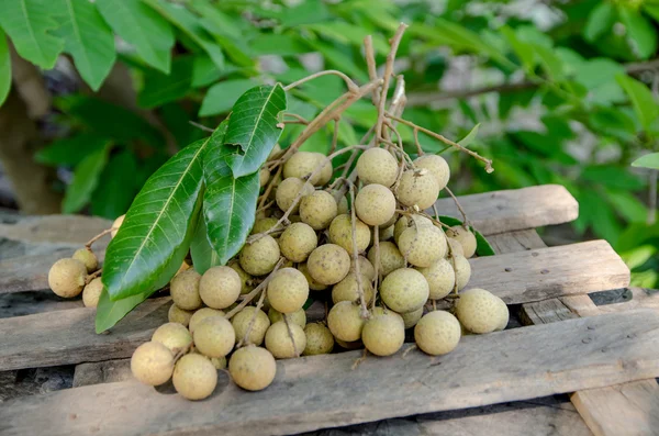 Fresh longan from my farm — Stock Photo, Image