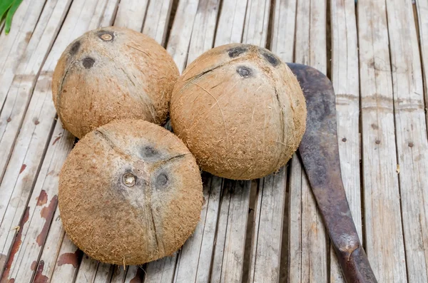 Peeled coconut on bamboo table — Stock Photo, Image
