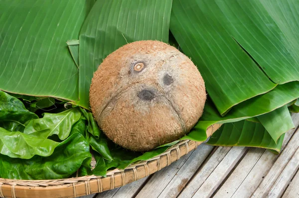 Peeled coconut on bamboo table — Stock Photo, Image