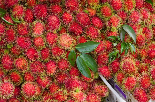 Rambutan fresco no mercado — Fotografia de Stock