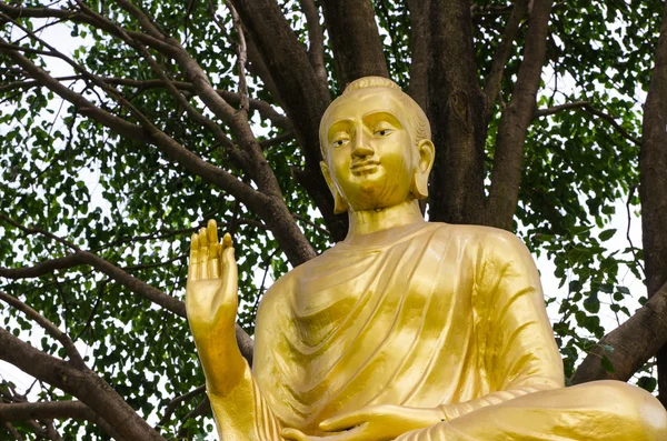 Estatua de Buddha — Foto de Stock