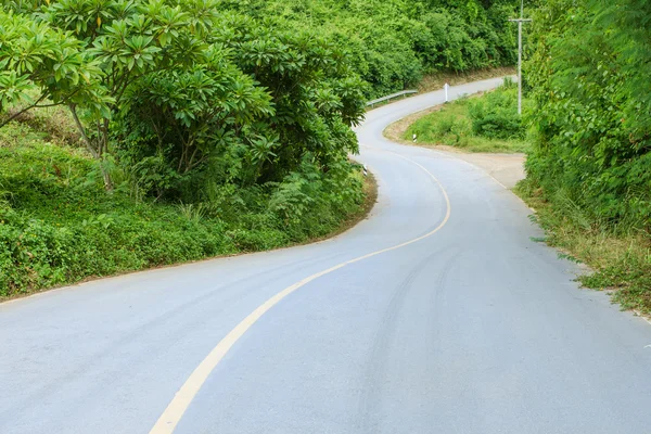 Camino de la curva — Foto de Stock