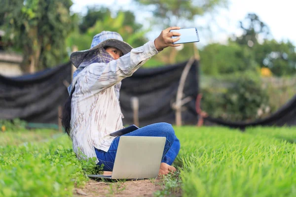 Thajský Zemědělec Pomocí Smartphonu Fotit Selfie Ranní Slávě Zeleninové Farmy — Stock fotografie