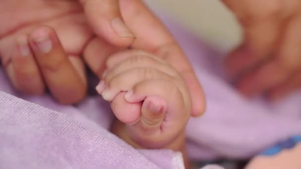 Hands Woman Touching Hand Newborn Baby Family Care Concept Selective — Vídeo de Stock
