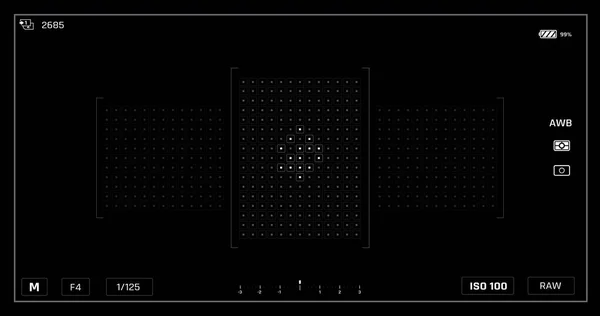 Görüntü Bulucudaki Kamera Kullanıcı Arayüzü Çerçeve Şablonu Üzerinde Canlı Görünüm — Stok Vektör