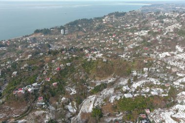 Dağlarda kışın ormanın güzel manzarası