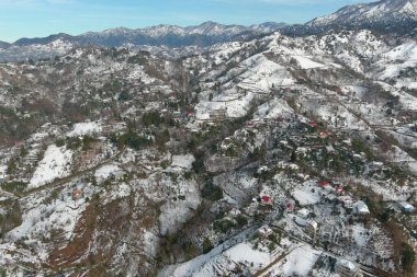 Dağlarda kışın ormanın güzel manzarası