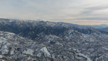Dağlarda kışın ormanın güzel manzarası