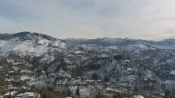 Schöne Aussicht Auf Den Wald Winter Den Bergen — Stockfoto