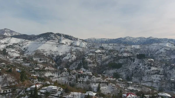 Dağlarda kışın ormanın güzel manzarası