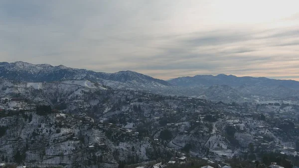 Bella Vista Sulla Foresta Inverno Montagna — Foto Stock