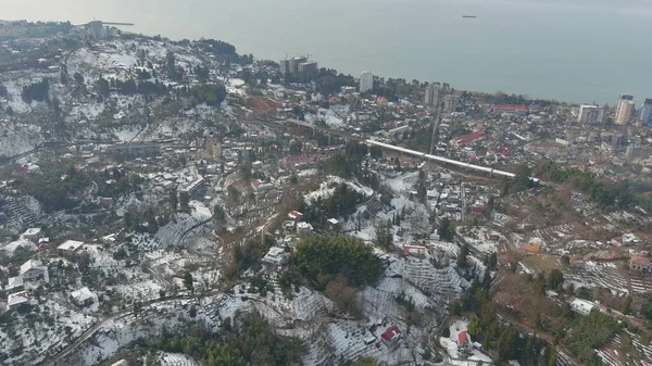 Dağlarda kışın ormanın güzel manzarası