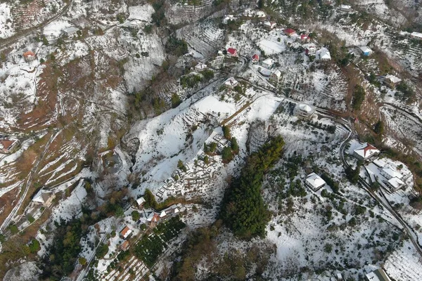 Όμορφη Θέα Του Δάσους Χειμώνα Στα Βουνά — Φωτογραφία Αρχείου