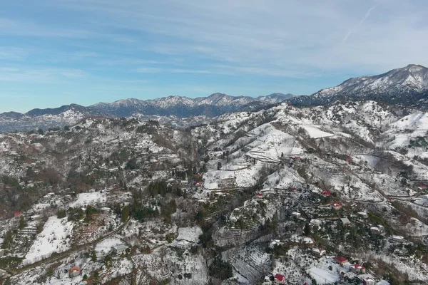 Schöne Aussicht Auf Den Wald Winter Den Bergen — Stockfoto