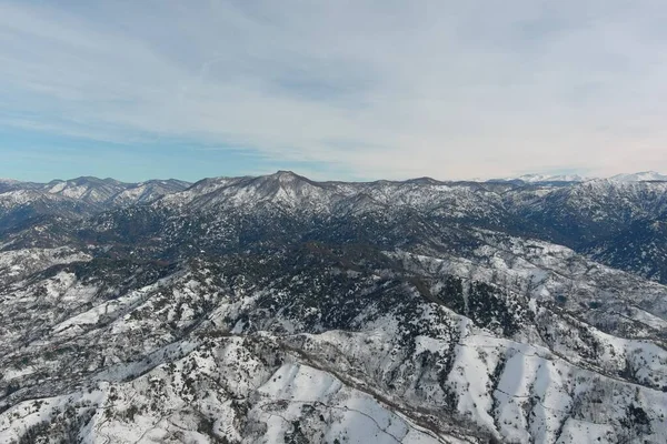Dağlarda kışın ormanın güzel manzarası