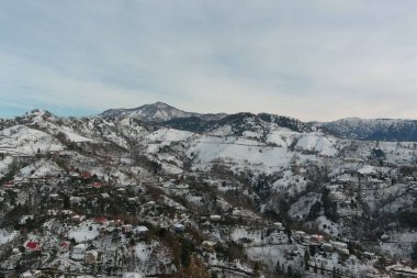 Dağlarda kışın ormanın güzel manzarası