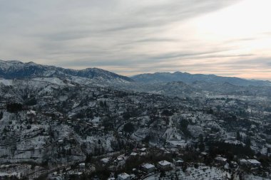 Dağlarda kışın ormanın güzel manzarası