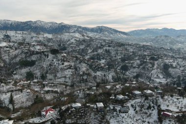 Dağlarda kışın ormanın güzel manzarası