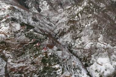 Dağlarda kışın ormanın güzel manzarası