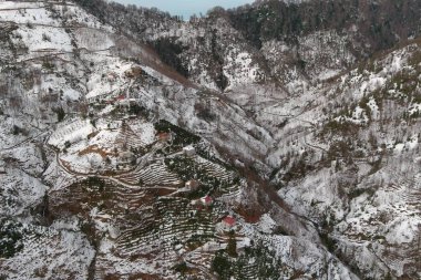 Dağlarda kışın ormanın güzel manzarası