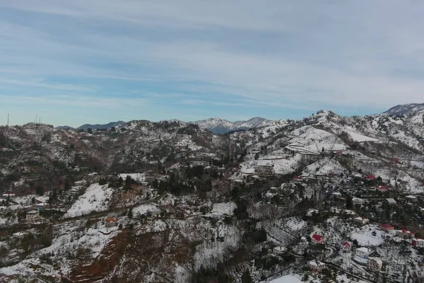 Dağlarda kışın ormanın güzel manzarası