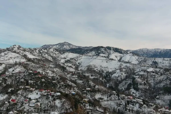 Dağlarda kışın ormanın güzel manzarası
