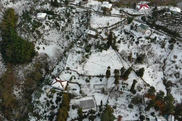 Prachtig Uitzicht Het Bos Winter Bergen — Stockfoto
