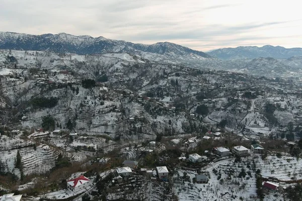 Dağlarda kışın ormanın güzel manzarası