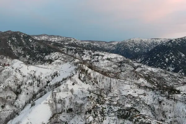 Schöne Aussicht Auf Den Wald Winter Den Bergen — Stockfoto