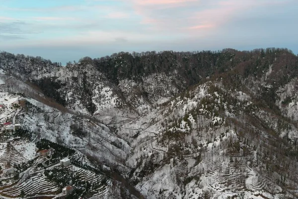 Dağlarda kışın ormanın güzel manzarası