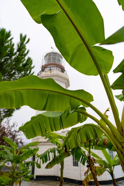 Vista Dos Pontos Turísticos Batumi — Fotografia de Stock