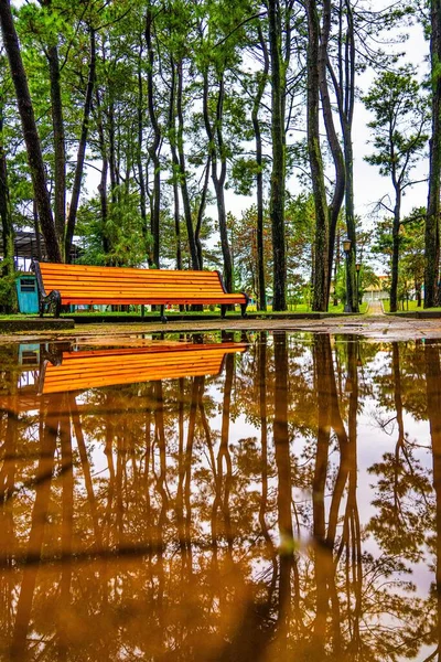 Beautiful City Park Rain — Stock Photo, Image