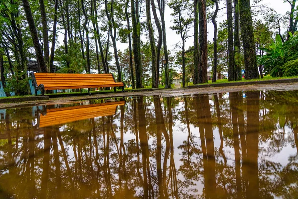 Belo Parque Cidade Após Chuva — Fotografia de Stock