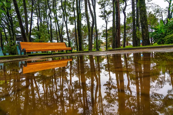 Prachtig Stadspark Regen — Stockfoto