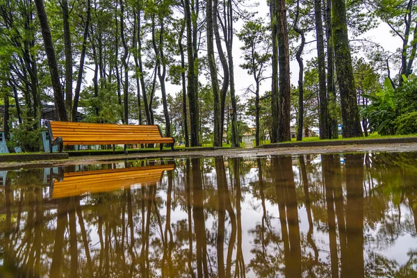 Hermoso Parque Ciudad Después Lluvia — Foto de Stock