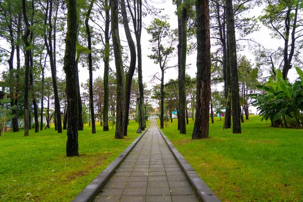 Güzel Şehir Parkı Yağmurdan Sonra — Stok fotoğraf