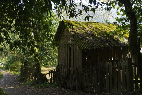 Oud Verlaten Houten Gebouw Groen — Stockfoto