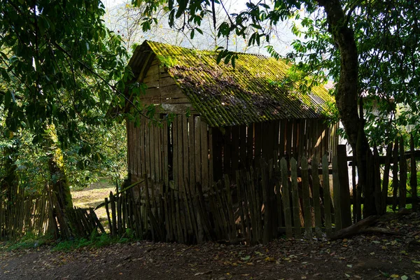Edifício Madeira Abandonado Velho Vegetação — Fotografia de Stock